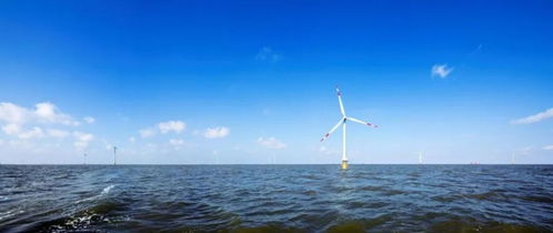快馬加鞭還是徐徐圖之 中國海上風(fēng)電的關(guān)鍵抉擇